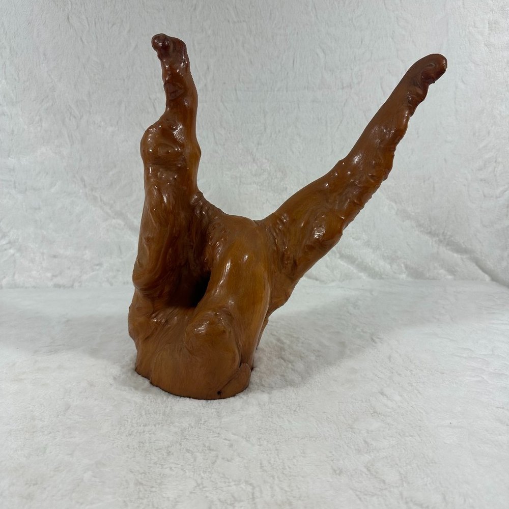 Vintage Cypress Knee Tree Stump Tree Root Sculpture BoHo MCM natures art